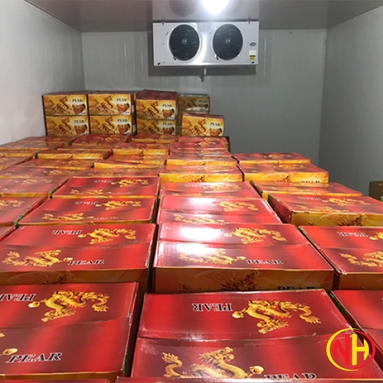 KHO LẠNH BẢO QUẢN TRÁI CÂY MINI
