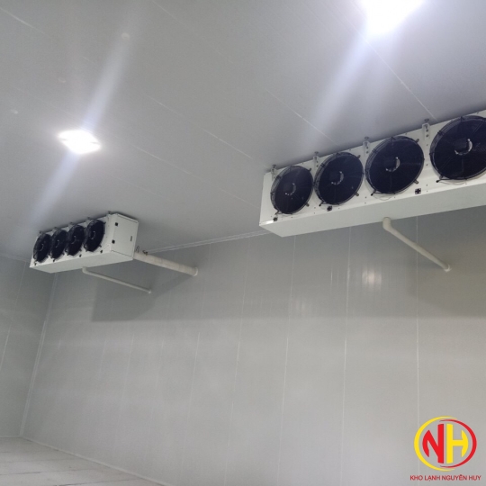 KHO LẠNH BẢO QUẢN TRÁI CÂY MINI