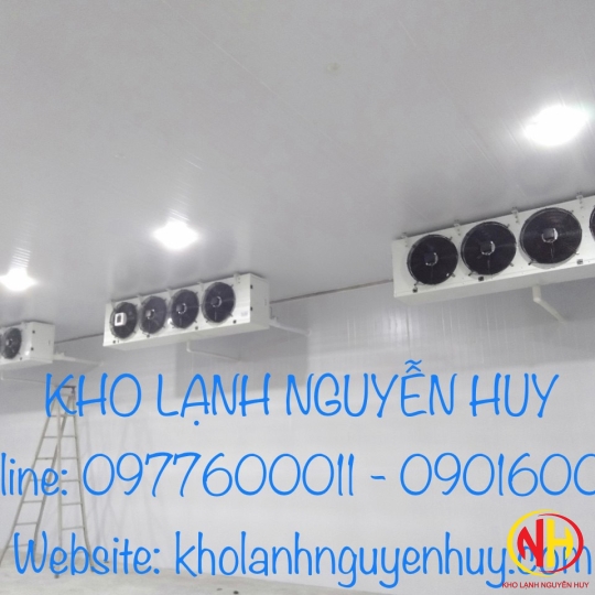 KHO LẠNH THƯƠNG MẠI SỬ DỤNG CÁCH NHIỆT EPS